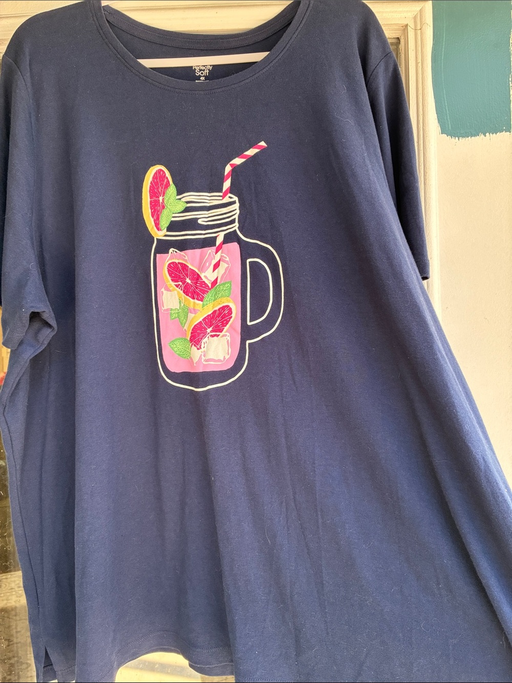 Kim Rogers Plus Perfectly Soft Tee 4X
